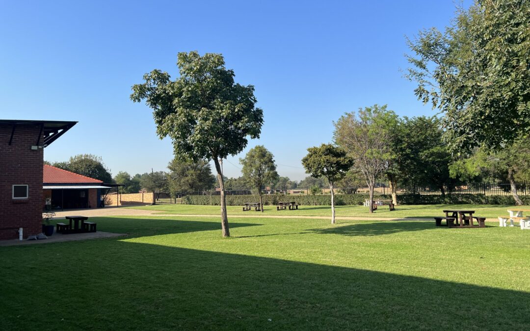 Rooted in sustainability