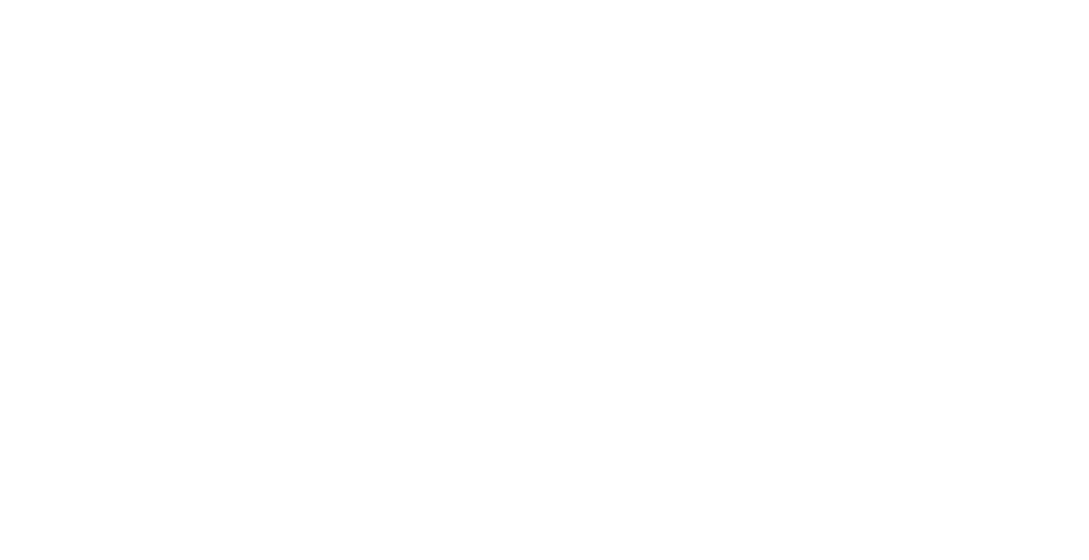 Sox Factory Logo_White
